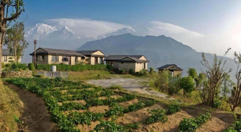 Hananoie - A Permaculture Resort Pokhara Esterno foto