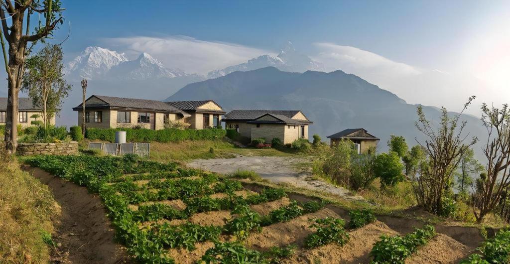 Hananoie - A Permaculture Resort Pokhara Esterno foto